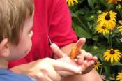 WNC Nature Center Summer Camps