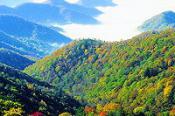 Great Smoky Mountains 