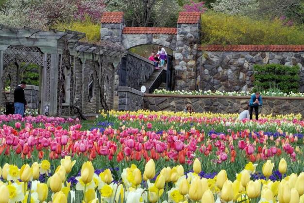 Easter Weekend in Asheville