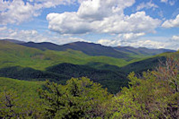 Pisgah National Forest