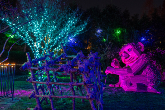 A troll in the glow of festive lights at Winter Lights at the NC Arboretum
