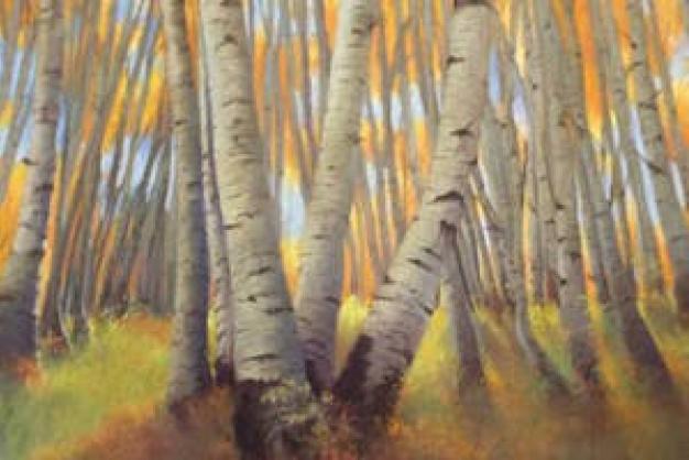 Beaverdam Studio Tour Beaverdam Studio Tour