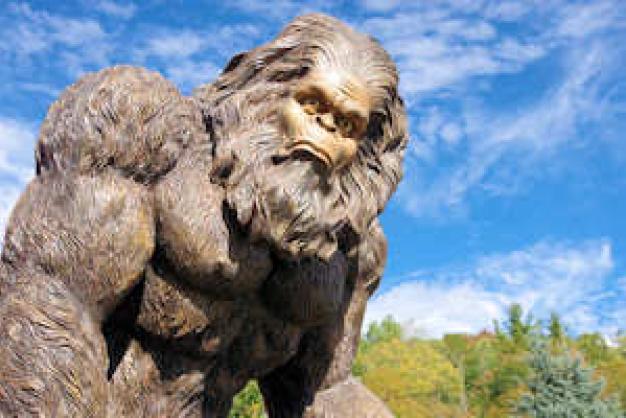 Bigfoot Festival, Marion NC Bigfoot Festival, Marion NC