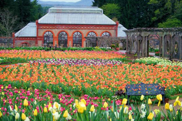 Biltmore's Gardens in Bloom