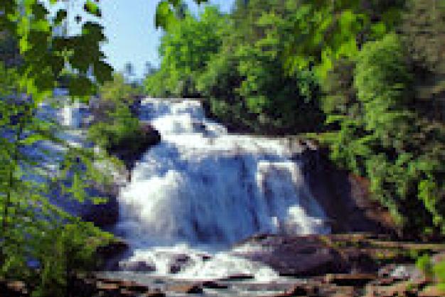 DuPont State Forest DuPont State Forest