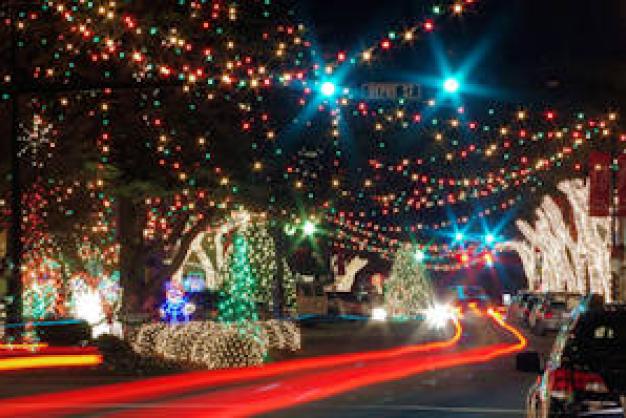 Forest City Christmas Lights