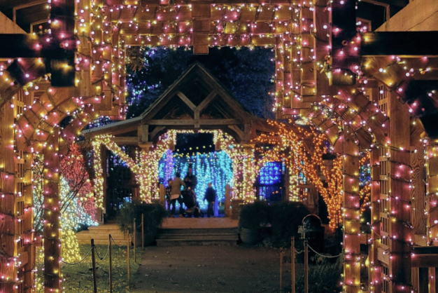 Winter Lights at The North Carolina Arboretum Pergola strung with Winter Lights at The North Carolina Arboretum