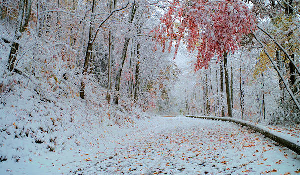 Blue Ridge Parkway Fall Snow