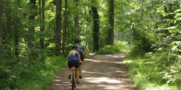 NC Arboretum Trail