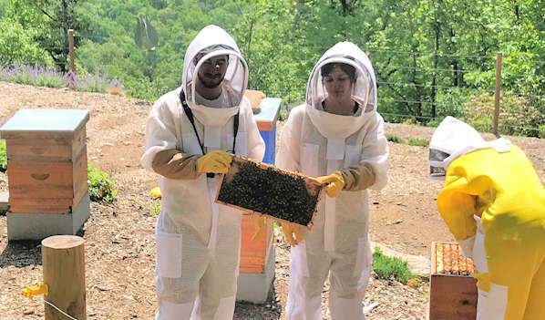 Killer Bees Honey Farm Tour