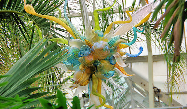 Biltmore Chihuly Glass Conservatory