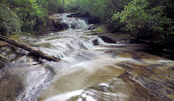 Cove Creek, Pisgah National Forest