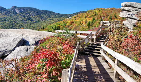 Rough Ridge Boardwalk Fall Color