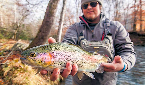Fishing in Cherokee