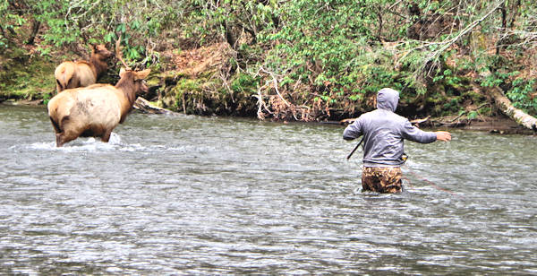 Fishing with Elk in NC