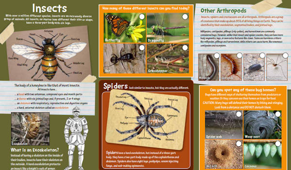 Kids on Parks Brochure Insects