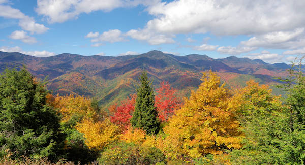 Mt Mitchell Fall Color