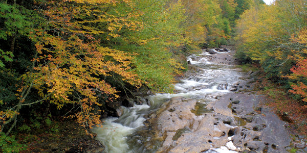 River along Forest Heritage Scenic Byway