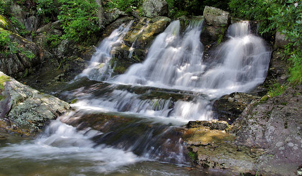 Waterfalls Park, Newland