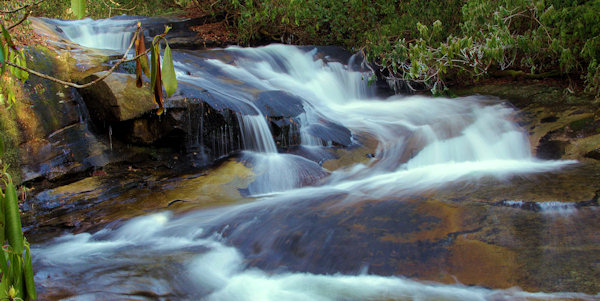 Cove Creek Falls