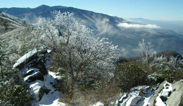 Winter Hikes Asheville