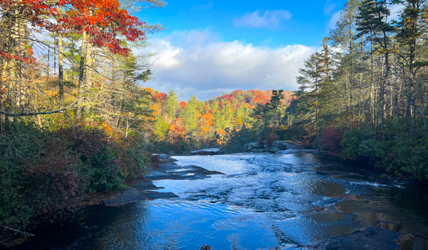 Fall Color Dupont State Forest