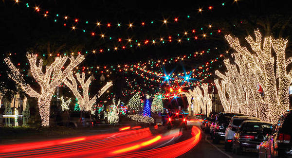 Forest City Christmas Lights